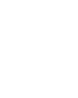 BIZZA