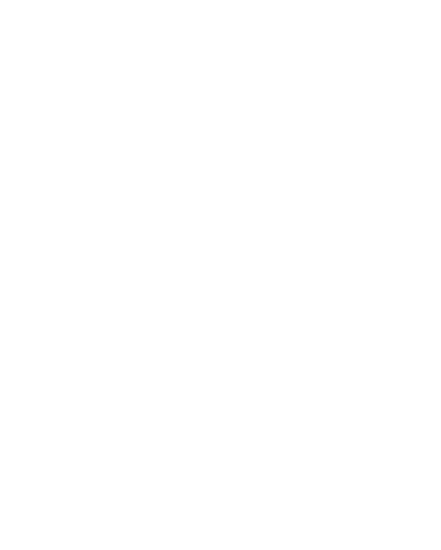 BIZZA
